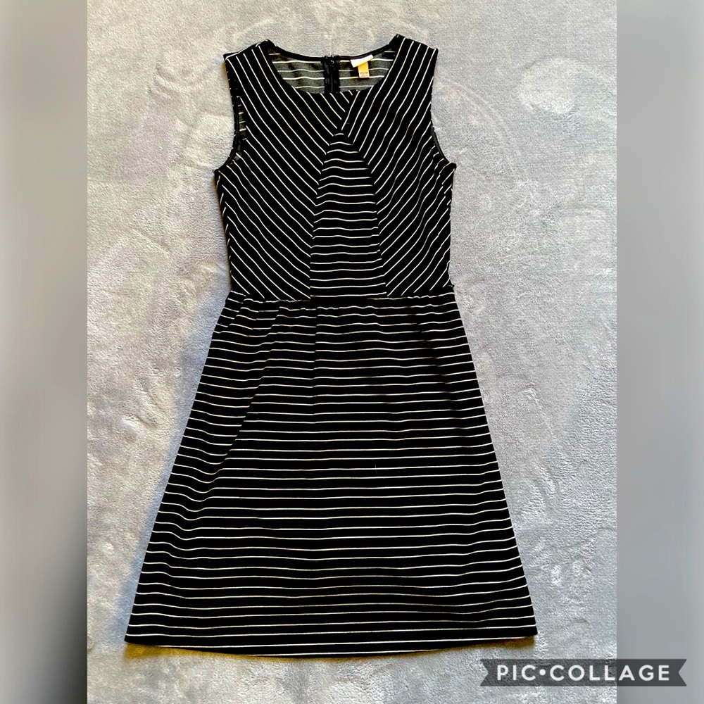 Petite Dress